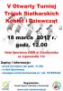V Otwarty Turniej Trójek Siatkarskich Kobiet i Dziewcząt